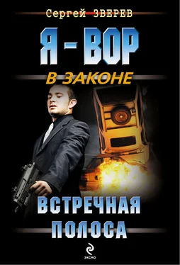 Сергей Зверев Встречная полоса обложка книги