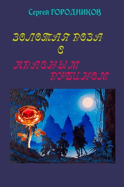 Сергей Городников Золотая роза с красным рубином обложка книги