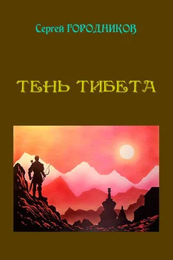 Сергей Городников Тень Тибета обложка книги