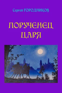 Сергей Городников Порученец Царя. Персиянка обложка книги