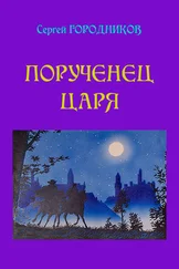 Сергей Городников - Порученец Царя. На стороне царя