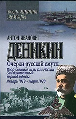 Антон Деникин - Вооруженные силы Юга России. Январь 1919 г. – март 1920 г.