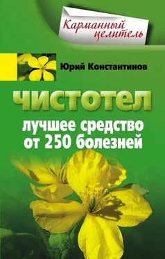 Юрий Константинов Чистотел. Лучшее средство от 250 болезней обложка книги