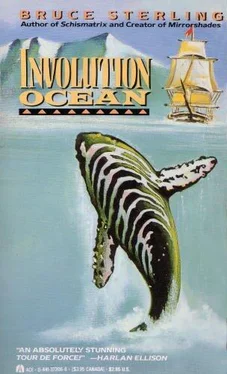 Брюс Стерлинг Involution Ocean обложка книги