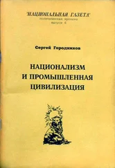 Сергей ГОРОДНИКОВ - НАЦИОНАЛИЗМ И ПРОМЫШЛЕННАЯ ЦИВИЛИЗАЦИЯ