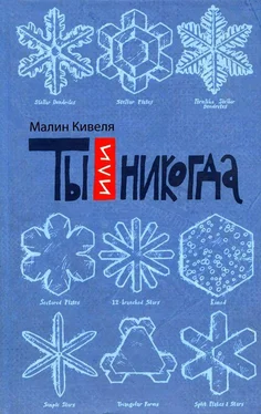 Малин Кивеля Ты или никогда обложка книги