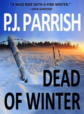 P. Parrish Dead of Winter обложка книги