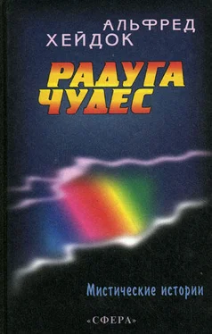 Альфред Хейдок Радуга чудес обложка книги