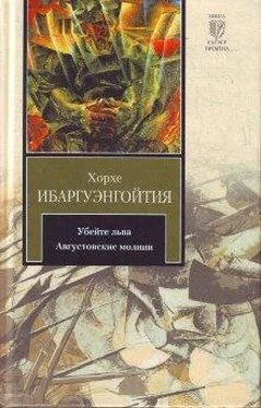 Хорхе Ибаргуэнгойтия Августовские молнии обложка книги