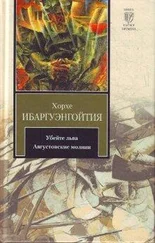 Хорхе Ибаргуэнгойтия - Августовские молнии