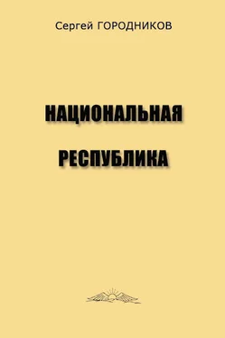 Сергей ГОРОДНИКОВ НАЦИОНАЛЬНАЯ РЕСПУБЛИКА обложка книги