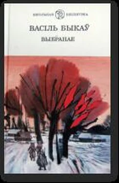 Быков Василь Выбранае обложка книги