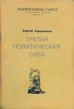 Сергей ГОРОДНИКОВ ТРЕТЬЯ ПОЛИТИЧЕСКАЯ СИЛА обложка книги