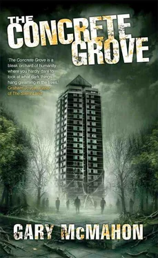 Gary McMahon The Concrete Grove обложка книги