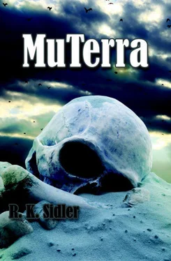 R. Sidler MuTerra обложка книги