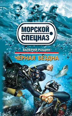 Валерий Рощин Черная бездна обложка книги