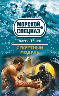 Валерий Рощин Секретный модуль обложка книги