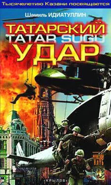 Шамиль Идиатуллин Татарский удар обложка книги
