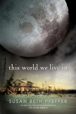 Susan Pfeffer This World We Live In обложка книги