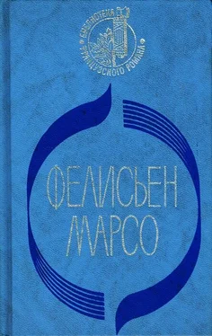 Фелисьен Марсо Кризи обложка книги