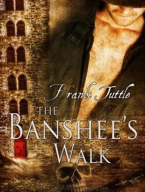 Frank Tuttle The Banshee's walk обложка книги