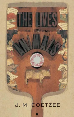 J. Coetzee The Lives of Animals обложка книги