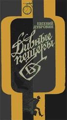 Евгений Дубровин - Дивные пещеры