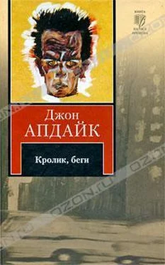 Джон Апдайк Кролик, беги обложка книги