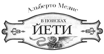 Глава 1 Большой кот и туманное облачко Моему ушедшему другу Карло и - фото 2