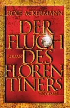 Rolf Ackermann Der Fluch des Florentiners обложка книги