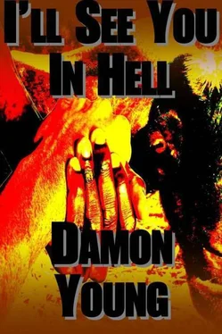 Damon Young I'll See You in Hell обложка книги