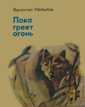 Валентин Копылов ПОКА ГРЕЕТ ОГОНЬ обложка книги