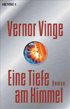 Vernor Vinge Eine Tiefe am Himmel обложка книги