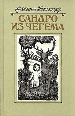 Фазиль Искандер Сандро из Чегема. Книга 3 обложка книги