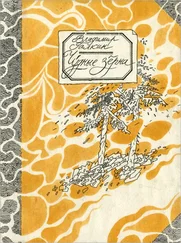 Владимир Галкин - Чудные зерна - сибирские сказы