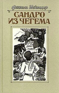 Фазиль Искандер Сандро из Чегема. Книга 2 обложка книги