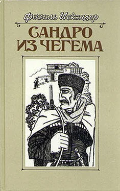 Фазиль Искандер Сандро из Чегема. Книга 1 обложка книги