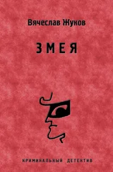 Вячеслав Жуков - Змея