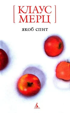 Клаус Мерц Якоб спит обложка книги