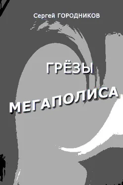 Сергей Городников Взвод потерянных обложка книги