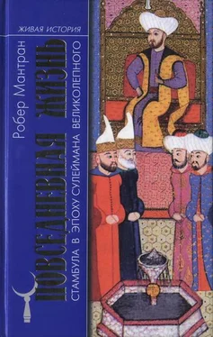 Робер Мантран Повседневная жизнь Стамбула в эпоху Сулеймана Великолепного
