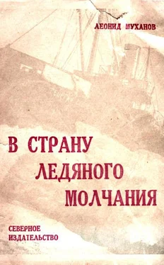 Леонид Муханов В страну ледяного молчания обложка книги