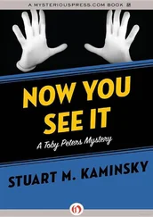 Stuart Kaminsky - Now You See It