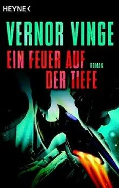 Vernor Vinge Ein Feuer auf der Tiefe обложка книги