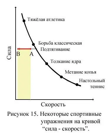 Рисунок 23 Соотношение силы и скорости мышечных сокращений в некоторых видах - фото 65