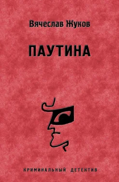 Вячеслав Жуков Паутина обложка книги