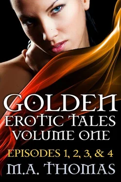 M. Thomas Golden Erotic Tales Volume one обложка книги