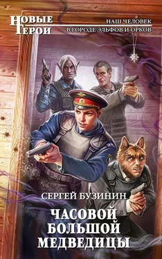 Сергей Бузинин Часовой Большой медведицы обложка книги