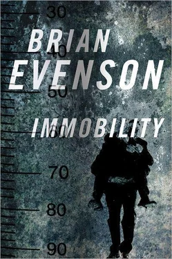 Brian Evenson Immobility обложка книги