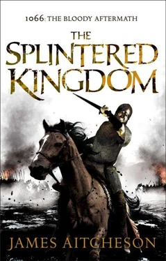 James Aitcheson The Splintered Kingdom обложка книги